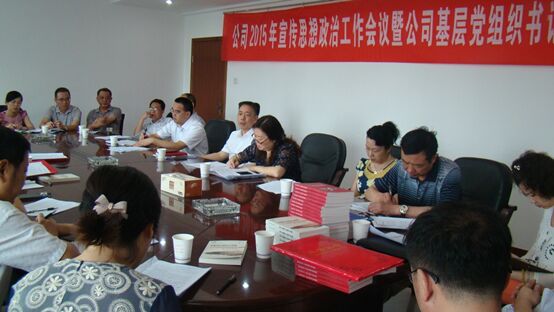 公司召開2015年宣傳思想政治工作會(huì)議暨公司基層黨組織書記集中培訓(xùn)